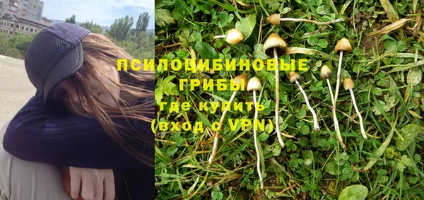 ГАЛЛЮЦИНОГЕННЫЕ ГРИБЫ Новокубанск