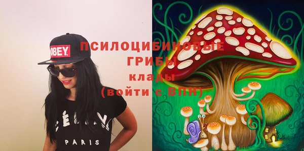 ГАЛЛЮЦИНОГЕННЫЕ ГРИБЫ Новокубанск