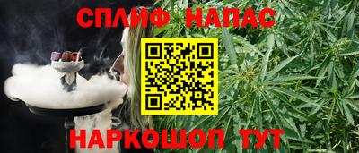 бошки Кинель
