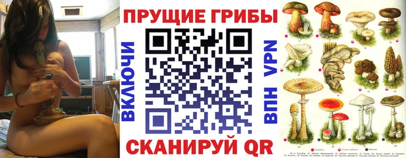 Галлюциногенные грибы мицелий  закладки  mega ССЫЛКА  Печора 